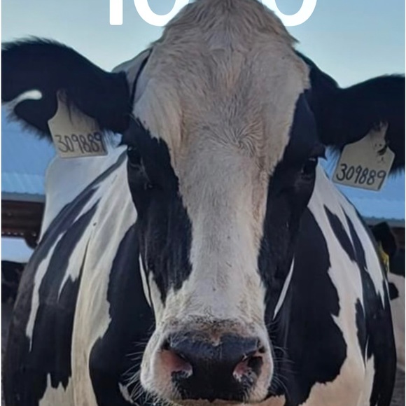 ACCEPTING ALL OFFERS! CLOSET CLEAN OUT! - Picture 2 of 4